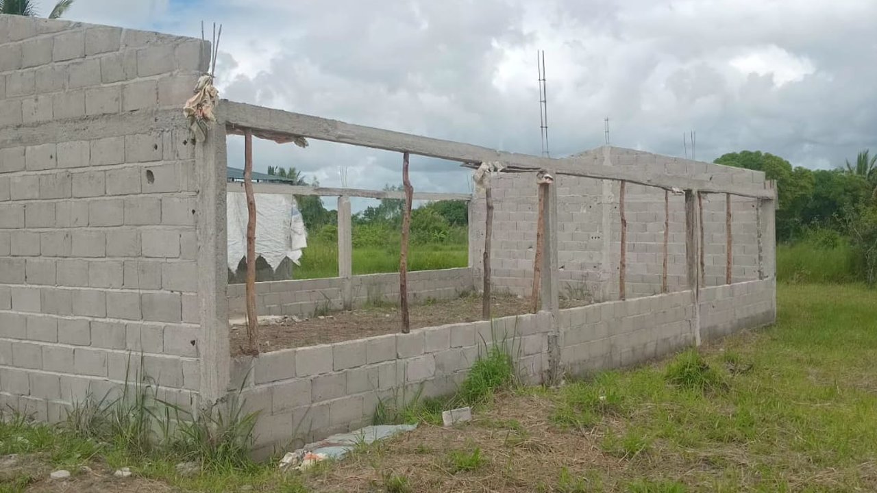 Fuel Shortages, Farm Development, and the Path Toward Long-Term Sustainability in Mozambique